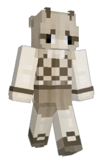 Front of Nytte_Enhet's skin