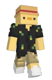 Skin preview