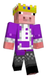 Minecraft skin — Classic model