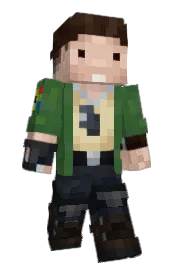 Skin preview