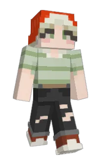 Front of Minecraft skin