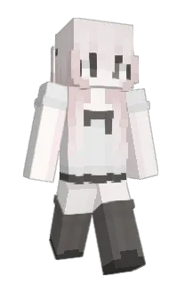 Front of roxanas's skin