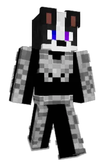 Front of iNylo's skin