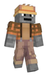 Front of cives's skin