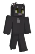 elssc