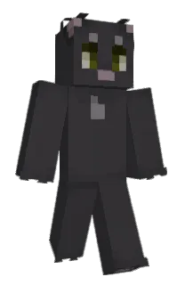 Front of elssc's skin