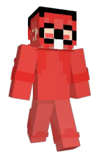 Front of Rajjn's skin