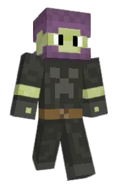 Skin preview