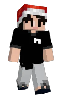 Front of NICENJOY's skin