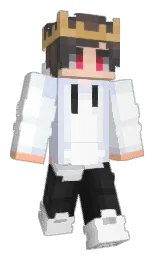 xarisss's Minecraft skin wearing the Migrator cape