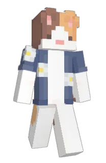 Front of F2nx's skin