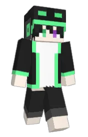 Skin preview