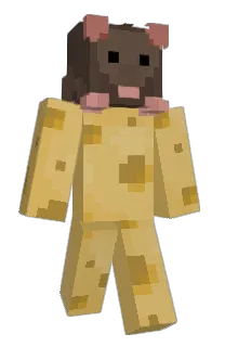 Front of KirbyIsRad's skin