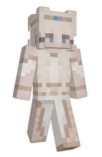 Front of Minecraft skin