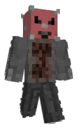Minecraft skin — Classic model