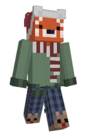 Skin preview