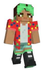 Skin preview