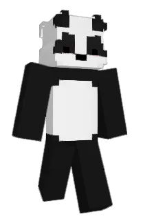 Front of Arlyck's skin