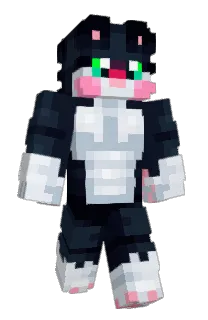 Front of KlTZ's skin