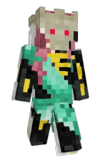 Front of McWiXX's skin