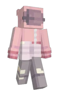 Front of 1SX's skin