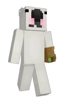 Front of Minecraft skin