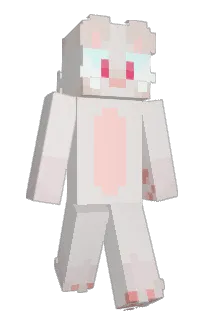 Front of noetuka's skin