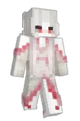 Mirakacip