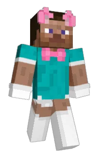 Front of iProfile's skin