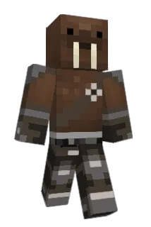 b96cw Minecraft avatar full body