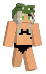 Slim Minecraft skin