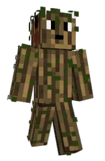 Front of Minecraft skin