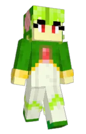 Skin preview