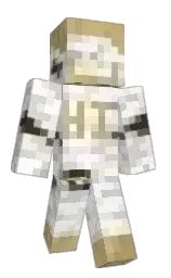 white and black white Minecraft skin — Classic model — first worn by Dinfle
