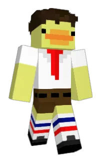 Front of majeet's skin