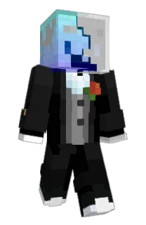 Front of Elkwins's skin