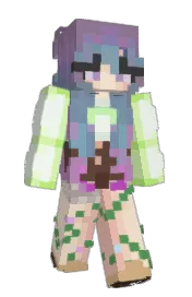 Skin preview