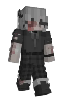 Front of Auxss's skin