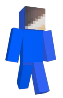 Front of Noticer's skin