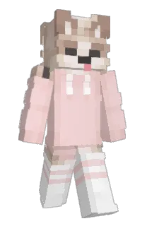 Front of geckopuffs's skin
