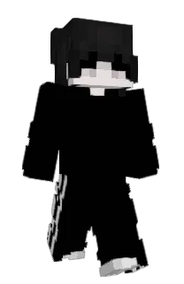 wxsst's Minecraft skin