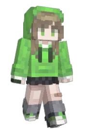 Skin preview