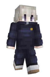 Front of Van's skin
