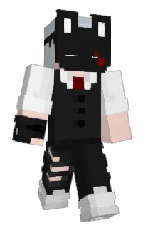 Front of nhsr's skin