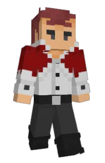Front of StemTheBug's skin