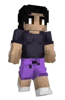 nilesk's Minecraft skin