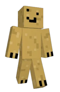 Front of Minecraft skin