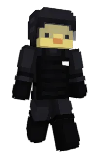 Front of Benjaumin's skin