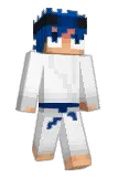 bIzzrd Minecraft avatar full body