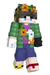 bLiNok_ Minecraft avatar full body